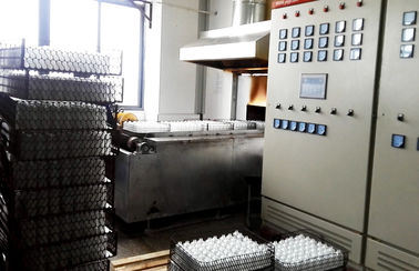 Enrede el horno industrial eléctrico de la correa 380V para el vidrio de recocido